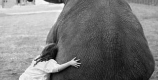 Человечность - это такой большой и мягкий «слон»,  которого хотят запихнуть в «игольное ушко»