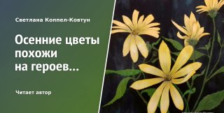 Светлана Коппел-Ковтун. «Осенние цветы похожи на героев...» (чит. автор) 
