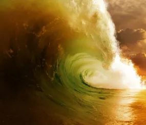 Худ. Рэн Ортнер