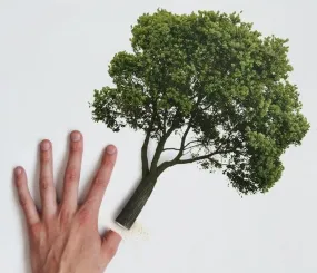 Социальная реклама. Мы отрезаем то, что уже не вырастет снова