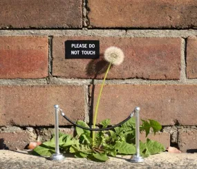 «Пожалуйста, не трогайте!»