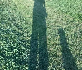 Фото: Игорь Петухов