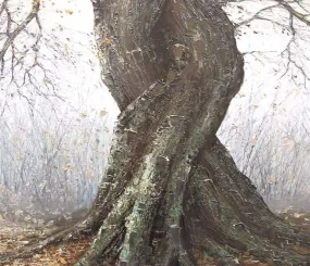 Д. Кустанович  "Сросшиеся деревья"