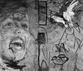 Арт-фотограф Роджер Баллен