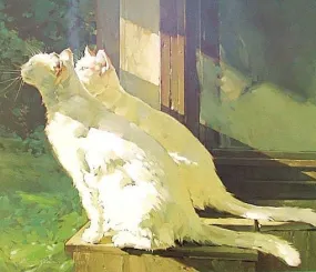 Греются.  Худ. Kim Starr