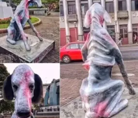 Художница Хирасоль Ботельо в 2008 году установила памятник бездомной собаке — в честь всех, кого предали, забыли, выкинули. Прототипом стал настоящий пес по кличке Пелусо. 