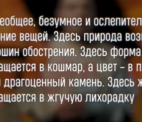 Из «Одинокий: Винсент ван Гог» Альбера Орье