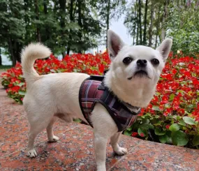 Их ВЕличество Ве :)