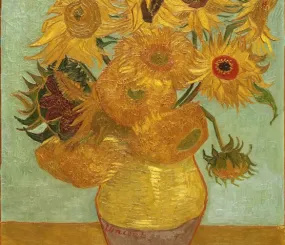 Подсолнухи