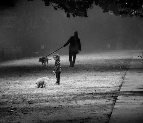 Автор Nobuyuki Taguchi