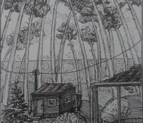 Балтийские дачи (гел. ручка)