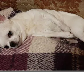 Ве задумался