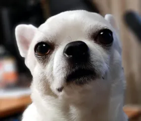 Ве скучает за мамой