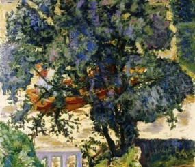 Дерево на берегу реки