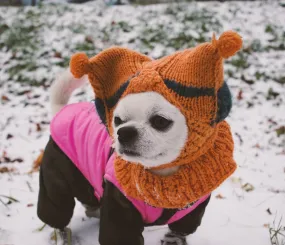 Ве и первый снег