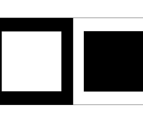 Этот вид иллюзий обусловлен специфическим эффектом, который возникает за счёт особенности строения глаза - любая точка светлого тона "отпечатывается" на сетчатке в виде кружка (сферическая аберрация), а периметр этого кружка окаймлён светлой лентой, за счёт чего увеличивается поверхность, с изображениями чёрного цвета всё происходит, наоборот. Все эксперименты, направленные на выявление иррадиации, подтвердили её наличие у всех людей.