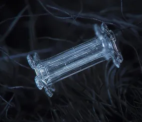 Снежинка. Фото Алексей Клятов