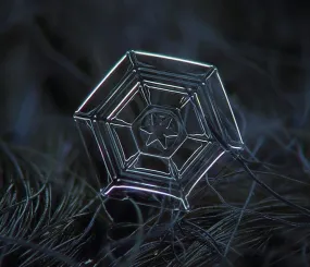 Снежинка. Фото Алексей Клятов