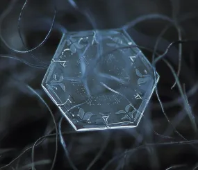 Снежинка. Фото Алексей Клятов