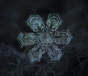 Снежинка. Фото Алексей Клятов