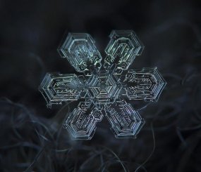 Снежинка. Фото Алексей Клятов