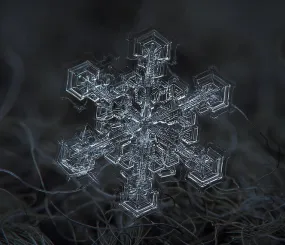 Снежинка. Фото Алексей Клятов