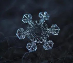 Снежинка. Фото Алексей Клятов