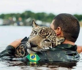 Солдат бразильской армии со спасенным от наводнения ягуаром