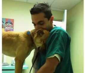 Благодарность за помощь