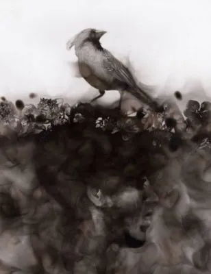 Птица. Стивен Спазук