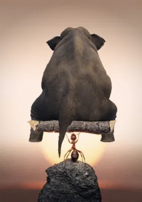 Зачем муравью слон?