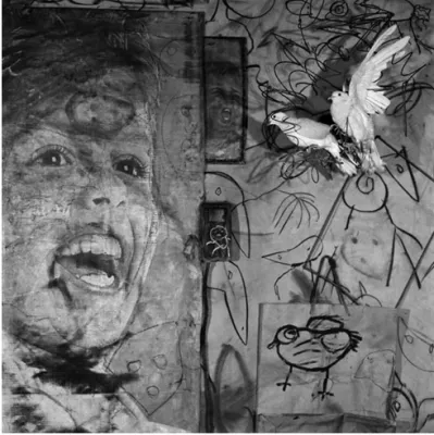 Арт-фотограф Роджер Баллен