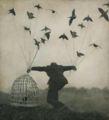 Фото: Robert and Shana Parkeharrison