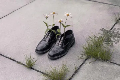  Фото Брука ДиДонато