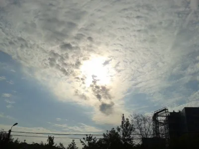 Фото Л. Журбицкой