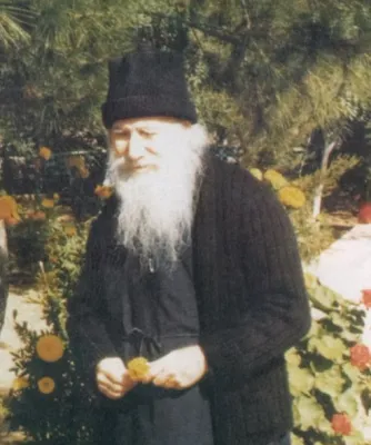 Прп. Порфирий Кавсокаливит