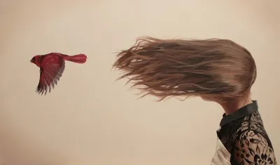 Худ. Алекс Холл (Alex Hall)