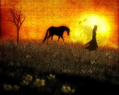 Худ. Аманда Касс 