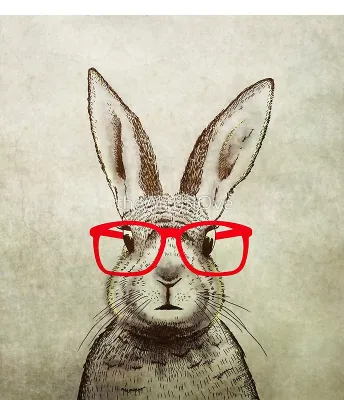 Худ. Аманда Касс