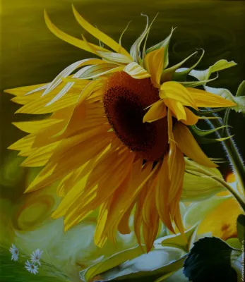 Худ. Елена Маноли