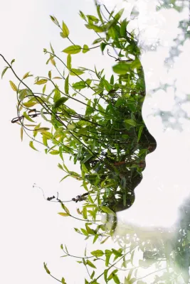 Лицо природы. Контур обведен на запотевшем стекле. Автор Archie Campbell