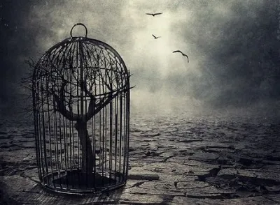 Фото - Sarolta Bán