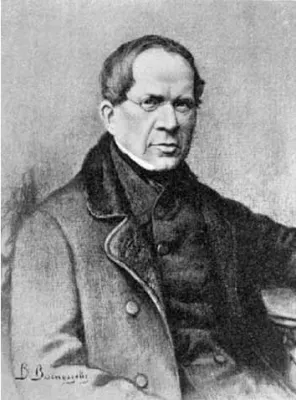 Пётр Андреевич Вяземский. Портрет работы Виктора Михайловича Васнецова (1848—1926)