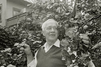 Корней Чуковский в своем фруктовом саду на подмосковной даче. 1957 год. Фото: Максимов / РИА Новости 