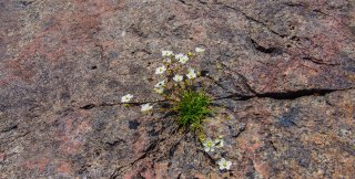Жизнь — это правильный ответ на вызов