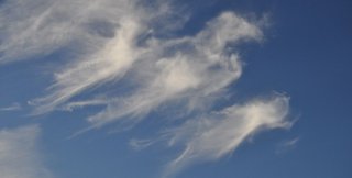 Небо ищет убитую птицу. О творчестве