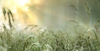 Горе ближе, чем кажется...