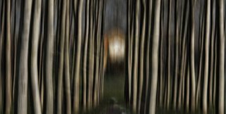 Фотограф Silena Lambertini