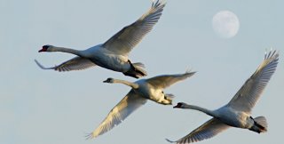 Семейная арифметика: от единицы к троице, или Другие: от ада к раю