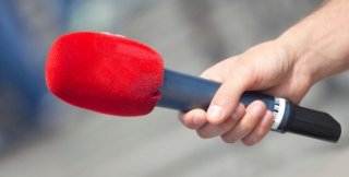 Деревья умеют кричать